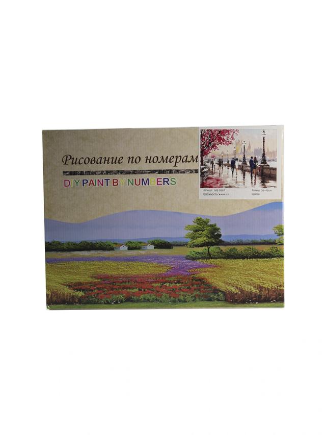 Рисование по номерам 30*40 см