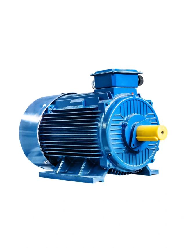 Электродвигатель 110 кВт 1000 об/мин Элком 5АИ 315 S6 110/1000